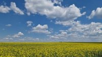 Погода останется жаркой