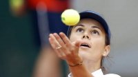 Цветана Пиронкова вошла в основную сетку теннисного турнира в Чарльстоне