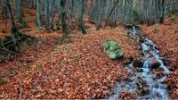 Облачное и холодное начало новой недели в большей части страны