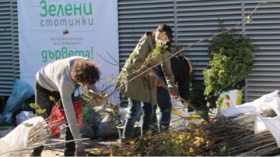 Гората.бг дарит 50 000 саженцев плодовых деревьев