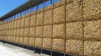 Болгария сможет экспортировать в Китай комбикорм и кормовые добавки