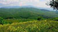 Гора Люлин близ Софии – наедине с природой