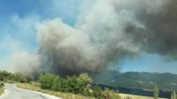 На юго-западе Болгарии возобновились лесные пожары