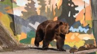 Международный день защиты детей в Софийском зоопарке