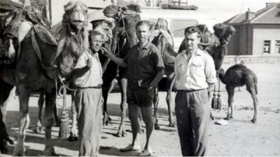 Верблюды в Юго-Восточной Болгарии &ndash; как верблюдоводство превратилось в доходный промысел