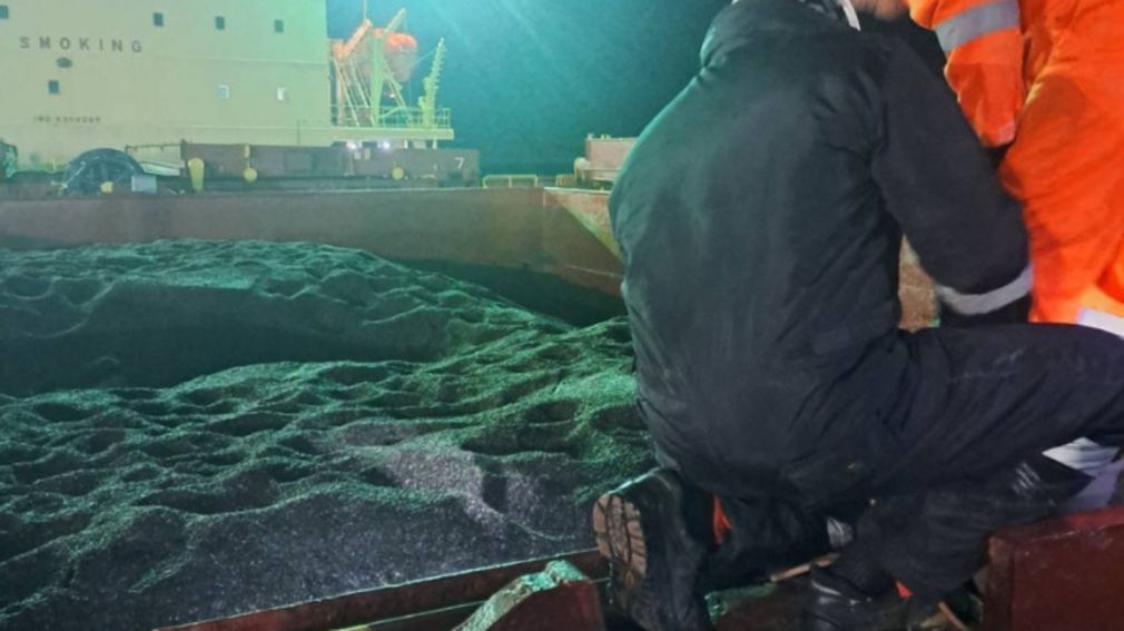 БАБПП: В аргентинском подсолнечнике превышены допустимые уровни пестицидов