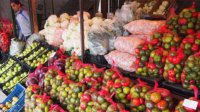 Производство фруктов и овощей в Болгарии крайне недостаточное
