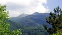 Берковица – богатая природа и древняя история