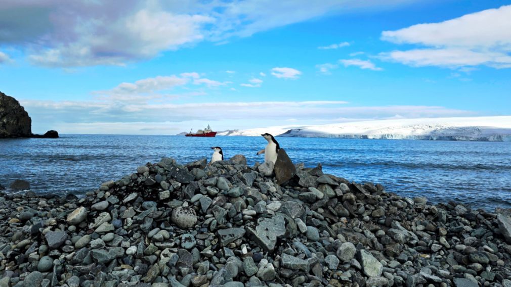 Проф. Христо Пимпирев: 34-я экспедиция в Антарктиду - одна из самых успешных