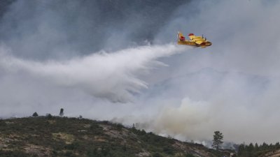 Болгарские пожарные помогают тушить пожары в Галисии