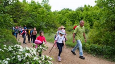 Путь к здоровью – кампания &quot;Двигайся и побеждай&quot; начинается походом
