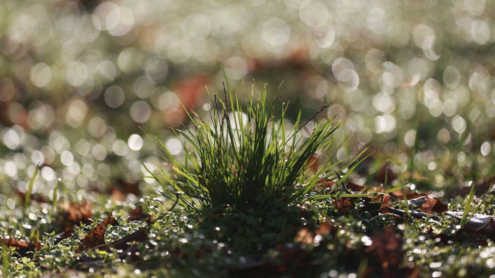 Прогноз погоды на 27 декабря 2025