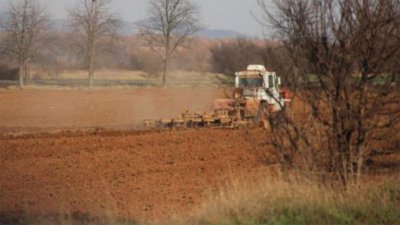 Минсельхоз проверит использование сельскохозяйственных и лесных земель