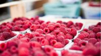 Малиновое волшебство в Самокове – десять лет традиции, вкуса и хорошего настроения