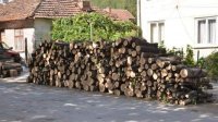 Возможно прекращение экспорта древесины для снижения цен дров для отопления