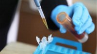 25,6% тестов на коронавирус дали положительный результат