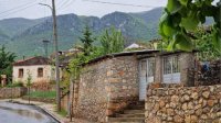 Результаты официальной переписи населения в Албании – большой успех для болгарской общины