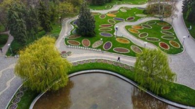 В День парков разговариваем с ландшафтным архитектором Александром Недевым