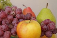 Болгария импортирует фрукты и овощи для своих консервных заводов