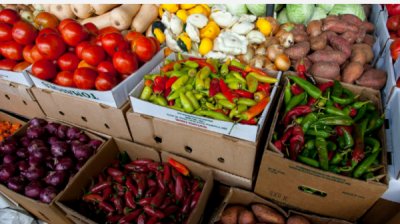 Национальный био фест 2025 начинается в Велико-Тырново