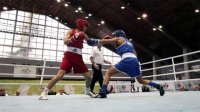 Болгарские боксеры провожают 2017 год 136 медалями