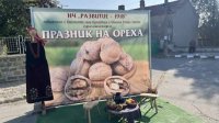 В селе Оряховица чествуют свой символ – грецкий орех