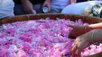 Праздник розы собрал гостей из страны и зарубежья в Долине роз