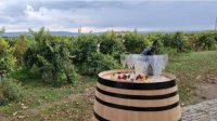 От виноградника до бутылки - легендарный Мавруд как часть визитной карточки Болгарии