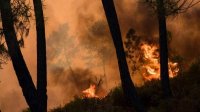 Болгарский вертолет помогает в тушении пожаров в Македонии