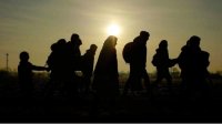 31 мигрант задержан у села Вакарел