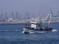 Из-за угрозы мин в Черном море варненские объединения рыбного промысла потребовали временного запрета на рыбную ловлю