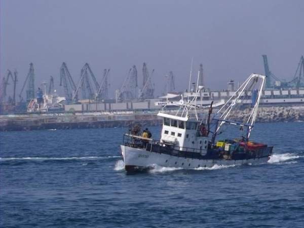 Из-за угрозы мин в Черном море варненские объединения рыбного промысла потребовали временного запрета на рыбную ловлю