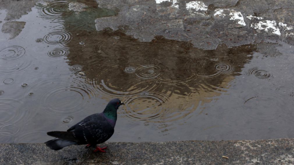 Прогноз погоды на 20 марта 2026