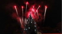 10-метровая елка у храма-памятника СВ. Алеуксандру Невскому побуждает рождественское настроение в столице