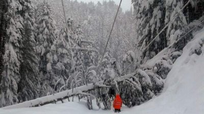 Несмотря на морозную зиму, режим подачи электроэнергии не ожидается