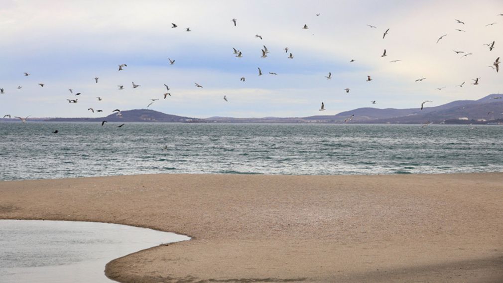 Прогноз погоды на 16 декабря 2025