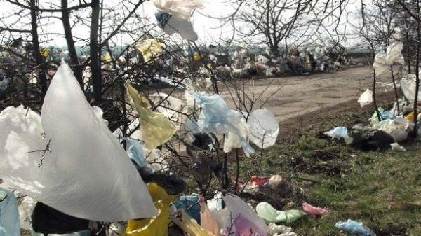 Экологи требуют запретить использование пластиковых  пакетов