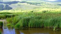 Уникальный карстовый комплекс „Драгоманское болото” включен в список Рамсарской конвенции