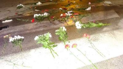 Очередное убийство на пешеходном переходе в Софии