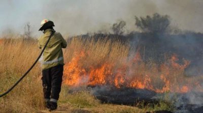 Пожаров в стране почти 200 в сутки