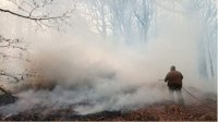 Пожар на болгаро-греческой границе развивается на фронте в 20 км