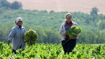 Болгария в Единой сельскохозяйственной политике ЕС