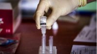 В стране выявлено 816 новых случаев коронавируса при проведении 2716 PCR-тестов
