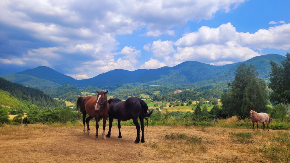В первый рабочий день недели температура поднимется до 20 градусов