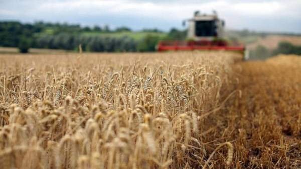 Ожидается рост урожая зерна
