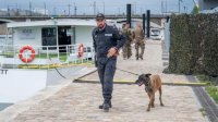 Болгарская собака Дарк будет следить за безопасностью на Олимпиаде в Париже