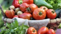 Снижается производство болгарских овощей