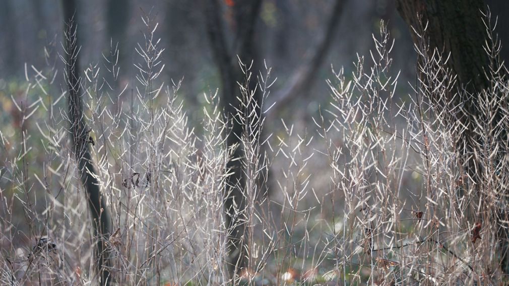 Прогноз погоды на 6 января 2026