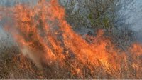 Большой пожар в районе трех сел Софийской области