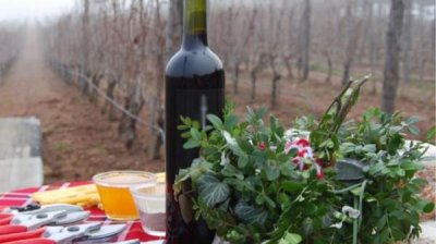 Стралджанские виноградари воссоздают ритуал обрезки винограда